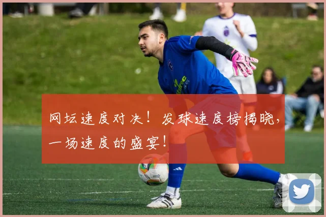 网坛速度对决!发球速度榜揭晓,一场速度的盛宴!