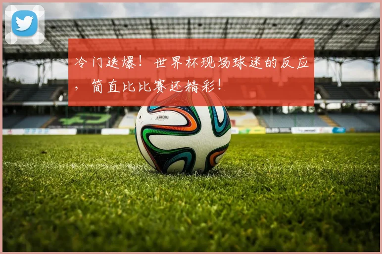 冷门迭爆!世界杯现场球迷的反应,简直比比赛还精彩!