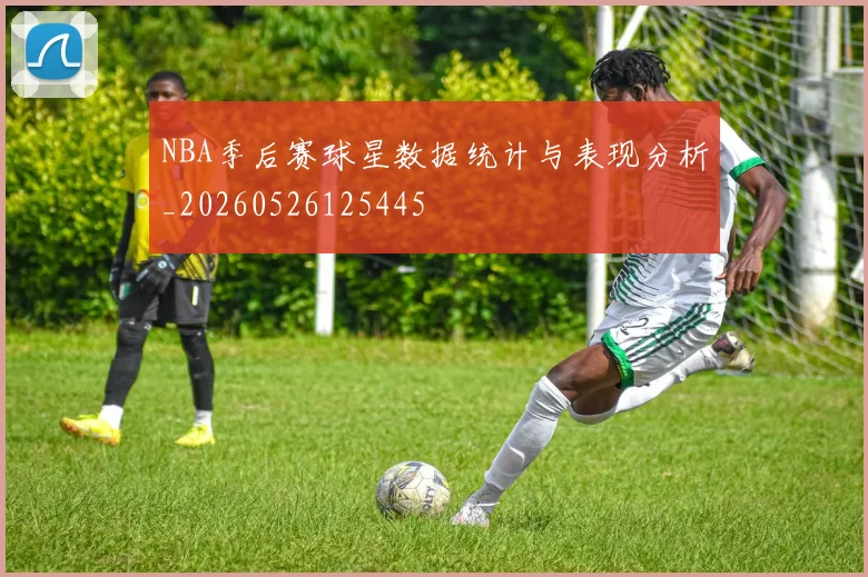 NBA季后赛球星数据统计与表现分析_20260526125445